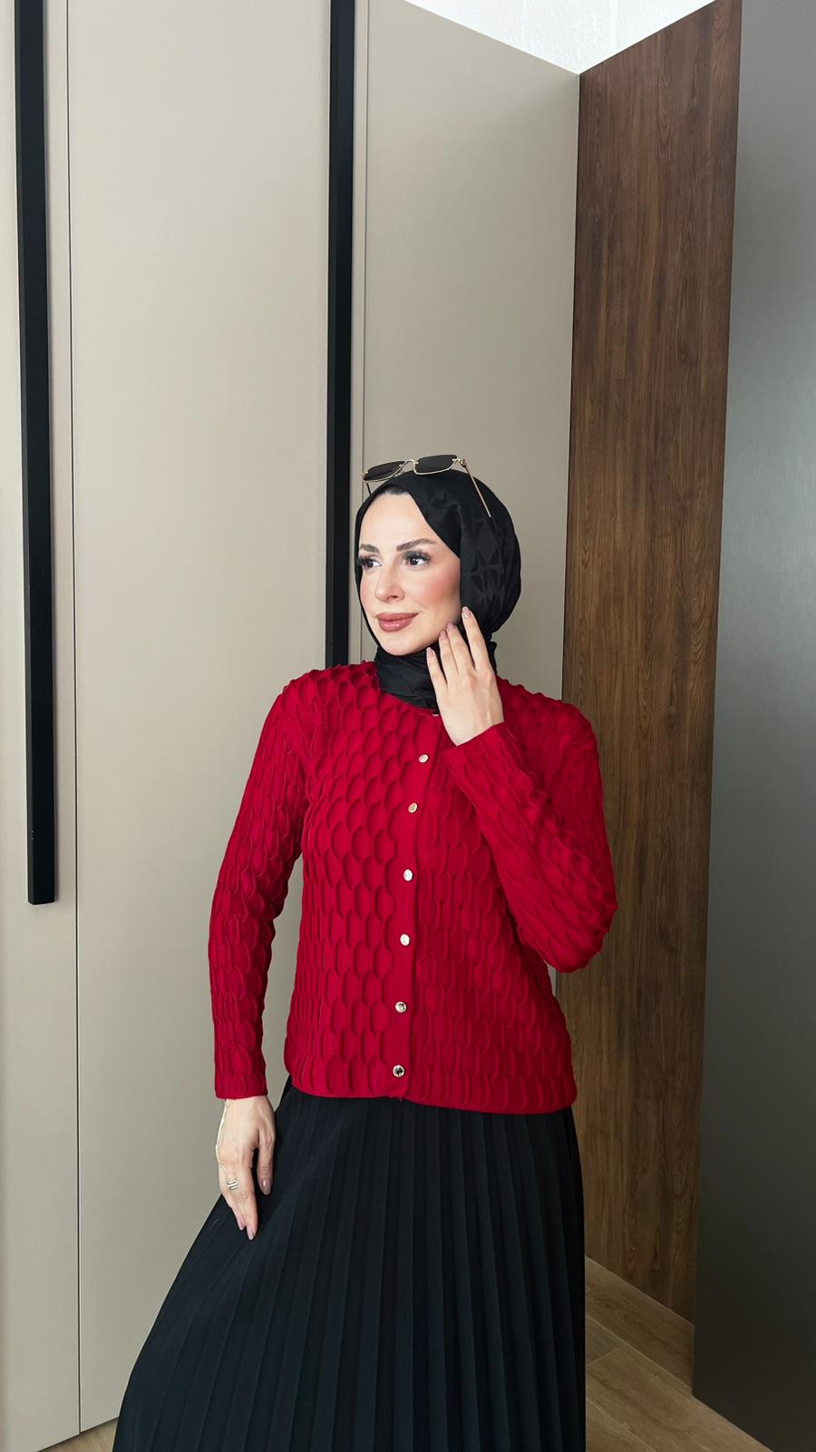 Bisiklet Yaka Hırka